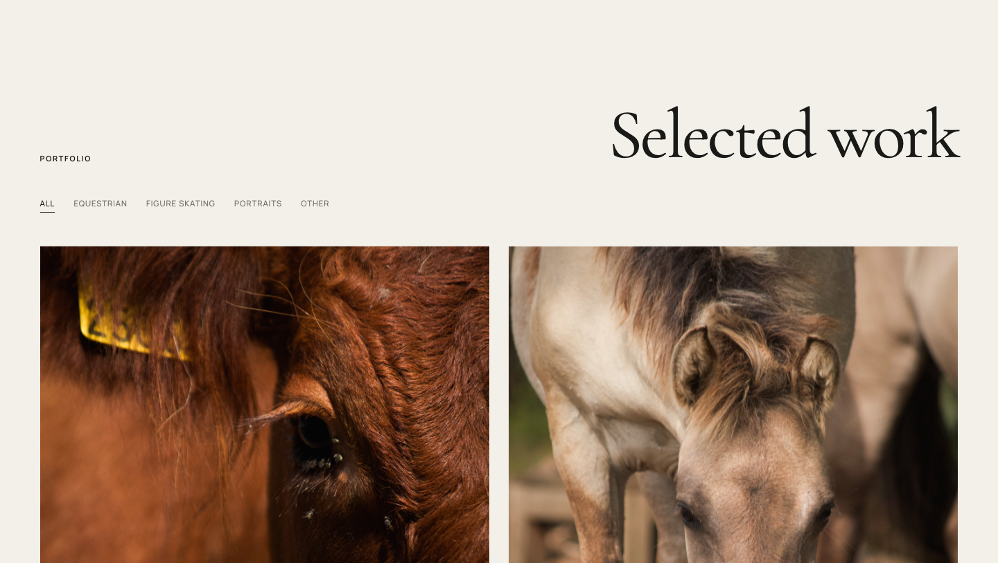 W Sall Photography website showcase